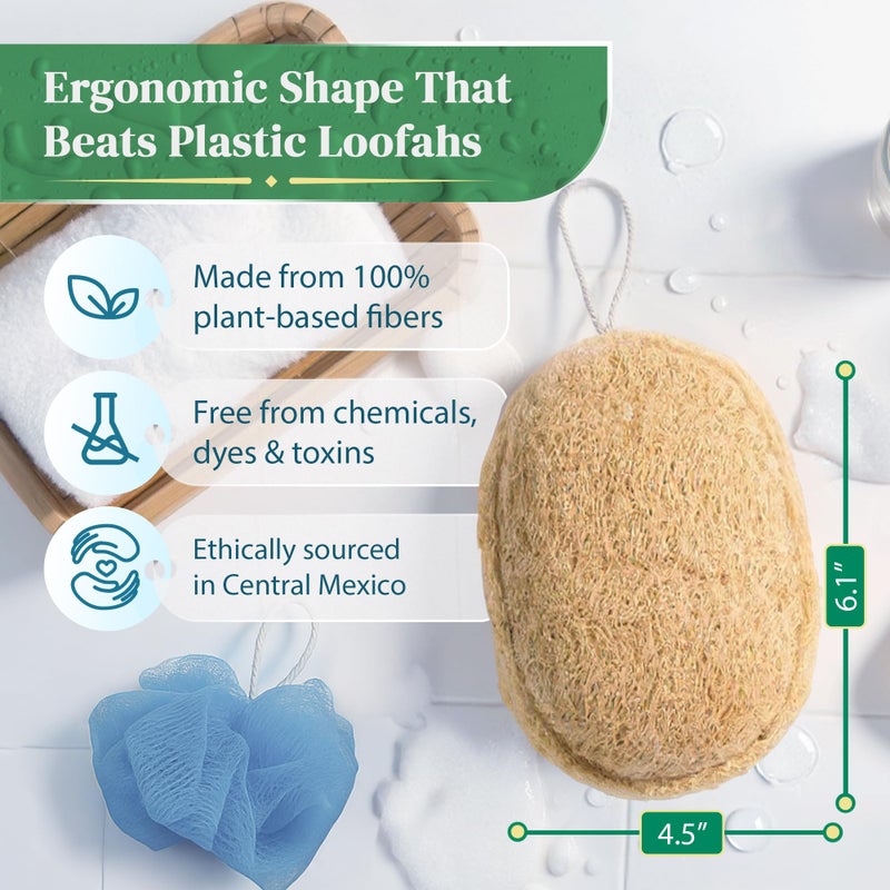 LooLife Natural Loofah Exfoliating Sponge (4 Pack) - Organic Loofah for Body - Biodegradable Shower Luffa - Natural Bath Sponges Loufa - Estropajos para el Cuerpo - Image 2